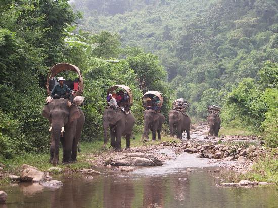 Luang Prabang full day 